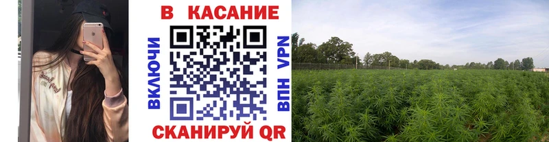 Купить закладку Новоалтайск Псилоцибиновые грибы МЕФ Конопля Кокаин Амфетамин